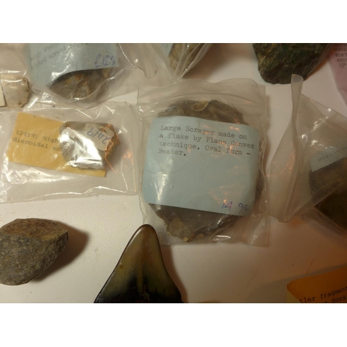 447 - A COLLECTION OF NEOLITHIC, MESOLITHIC WORKED FLINTS, PLESIOSAURUS VERTIBRA, DEER ANTLER FRAGMENTS ET... 