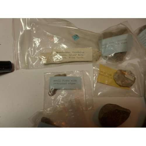 447 - A COLLECTION OF NEOLITHIC, MESOLITHIC WORKED FLINTS, PLESIOSAURUS VERTIBRA, DEER ANTLER FRAGMENTS ET... 