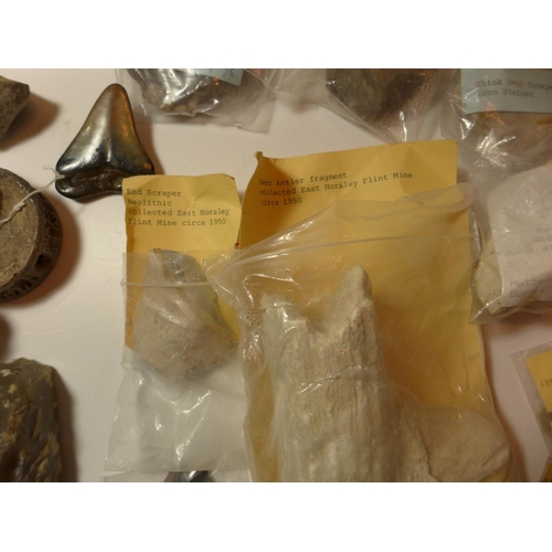 447 - A COLLECTION OF NEOLITHIC, MESOLITHIC WORKED FLINTS, PLESIOSAURUS VERTIBRA, DEER ANTLER FRAGMENTS ET... 