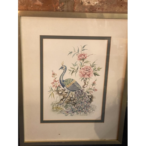 288 - THREE FRAMED BIRD PRINTS SIGNED R M WRIGHT