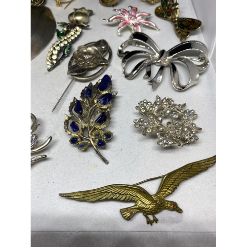 579 - TWENTY TWO VARIOUS DECORATIVE COSTUME JEWELLERY BROOCHES