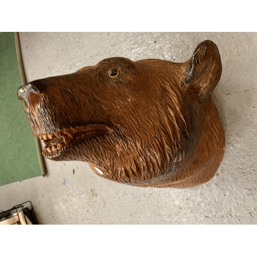 12 - A LARGE WALL MOUNTED BEAR'S HEAD (A/F ON ONE EAR) LENGTH 42CM