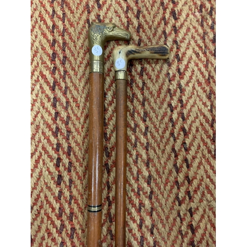 145 - TWO VINTAGE WALKING STICKS TO INCLUDE ONE WITH A HEAVY BRASS EAGLES HEAD HANDLE