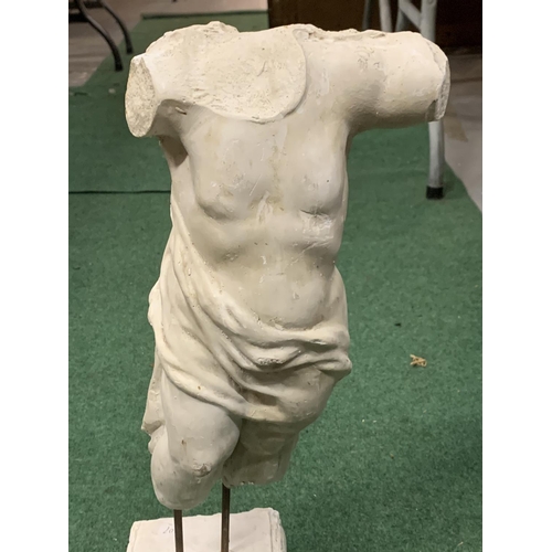 15 - A PLASTER MODEL OF A MALE TORSO (HEIGHT APPROXIMATELY 52CM)