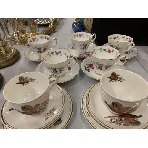 166 - SIX SHERIDAN TRIOS FEATURING PHEASANT DECORATION AND FIVE FURTHER TEA CUPS AND SAUCERS