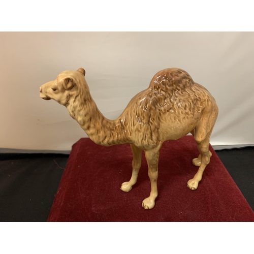 715 - A BESWICK CAMEL (FRONT LEG A/F) WITH A BOX