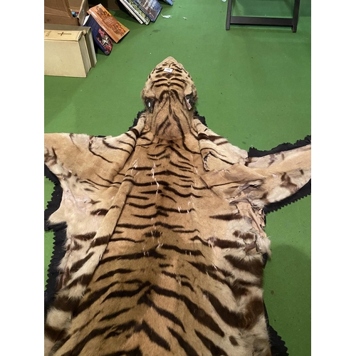 643 - A VICTORIAN FULL SIZED ADULT TIGER SKIN RUG