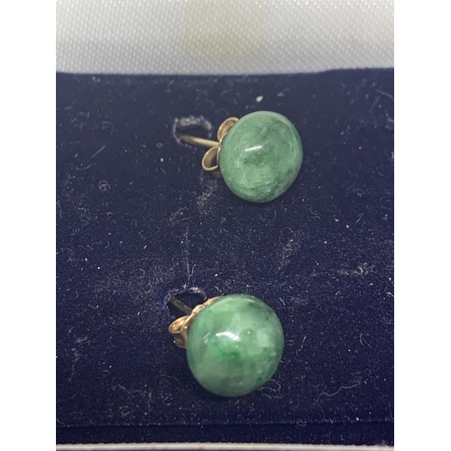 509 - A PAIR OF JADE STUD EARRINGS SET IN 9 CARAT GOLD MARKED 375 IN A PRESENTATION BOX