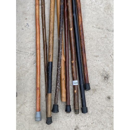 1449 - A LARGE QUANTITY OF WOODEN WALKING STICKS