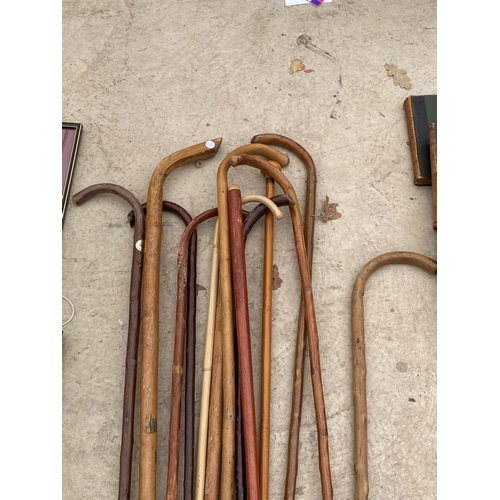 1453 - AN ASSORTMENT OF WOODEN WALKING STICKS