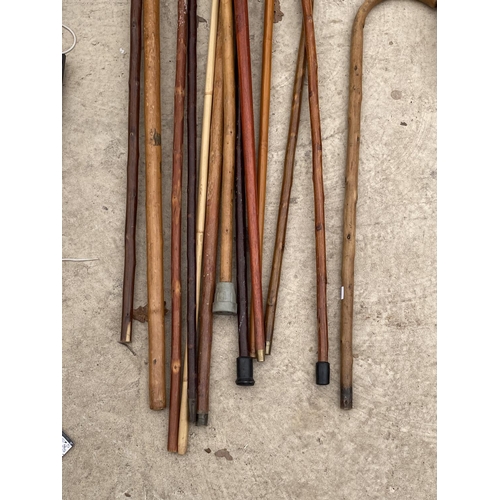 1453 - AN ASSORTMENT OF WOODEN WALKING STICKS