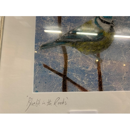 931 - A SIGNED AND FRAMED MIXED MEDIA LIMITED EDITION 'BLUE TIT IN THE REEDS' BY CHRIS CLARK