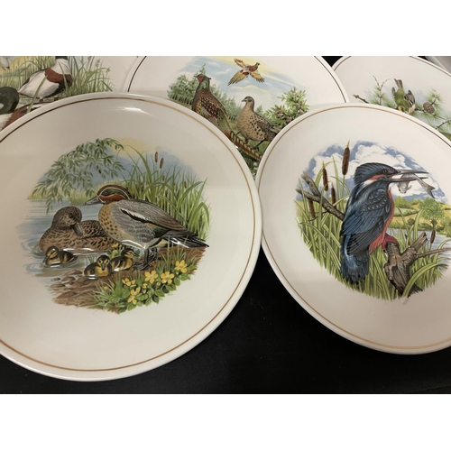 326 - A COLLECTION OF ROYAL WORCESTER SPODE COLLECTABLE 'HAMMERSLEY' PLATES DEPICTING ICONIC BRITISH WILDL... 