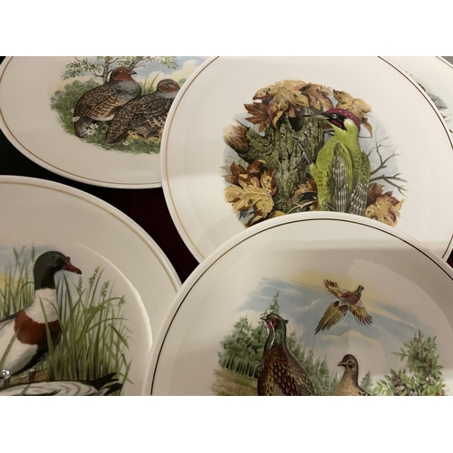 326 - A COLLECTION OF ROYAL WORCESTER SPODE COLLECTABLE 'HAMMERSLEY' PLATES DEPICTING ICONIC BRITISH WILDL... 