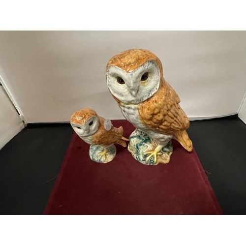 344 - A LARGE BESWICK OWL 1046, A SMALLER OWL 2-26 AND TWO BEATRIX POTTER CHARACTERS, 'MISS RABBIT' AND 'L... 