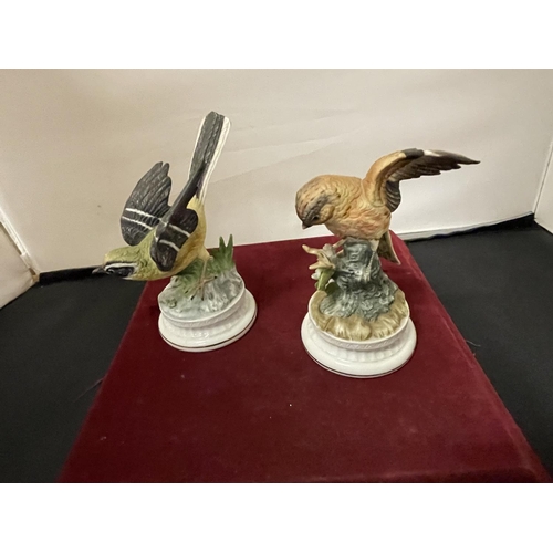 350 - A PAIR OF CERAMIC BRITISH GARDEN BIRD ORNAMENTS