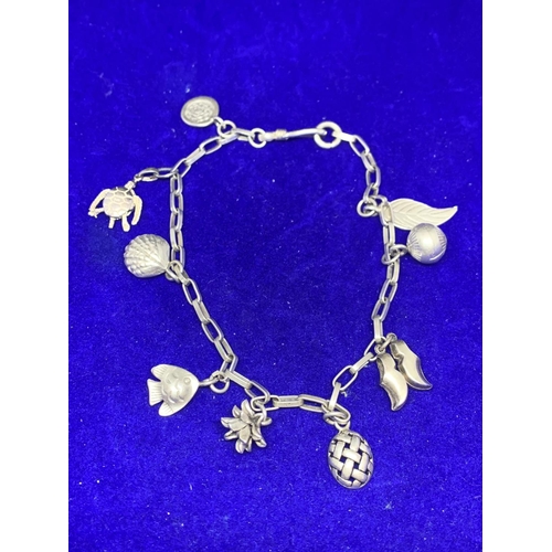 633 - A SILVER CHARM BRACELET WITH NINE CHARMS TO INCLUDE CLOGS, FEATHERS, TURTLE, FISH, SHELL ETC