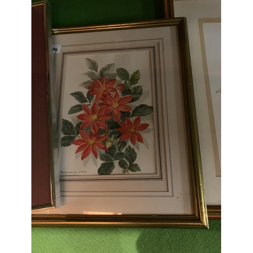 807 - A TRIO OF FRAMED FLOWER PRINTS