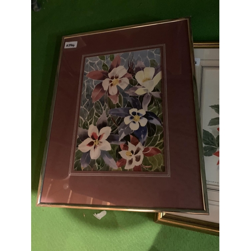 807 - A TRIO OF FRAMED FLOWER PRINTS