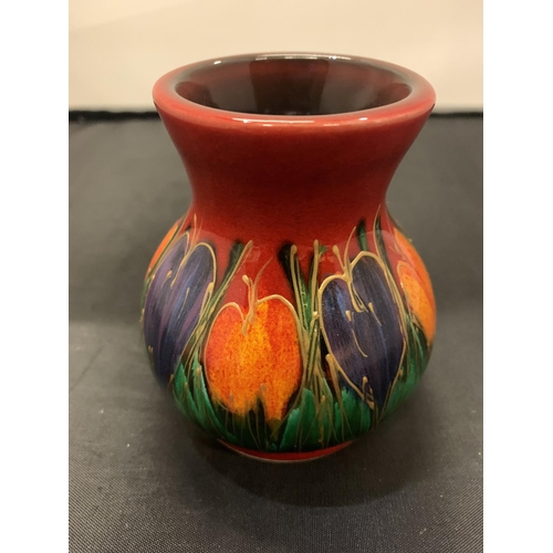 704 - AN ANITA HARRIS HANDPAINTED AND SIGNED CROCUS VASE