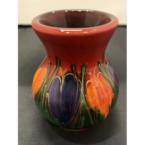 704 - AN ANITA HARRIS HANDPAINTED AND SIGNED CROCUS VASE