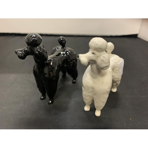 705 - TWO BESWICK POODLE DOGS ONE BLACK ONE WHITE