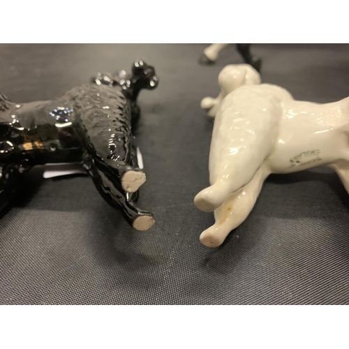 705 - TWO BESWICK POODLE DOGS ONE BLACK ONE WHITE