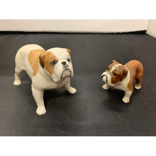 711 - TWO BULLDOGS ONE BESWICK AND ONE AYNSLEY