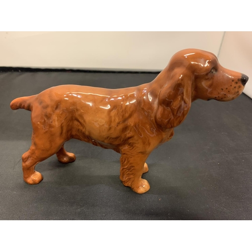 712 - A BESWICK COCKER SPANIEL HORSESHOE PRIMULA