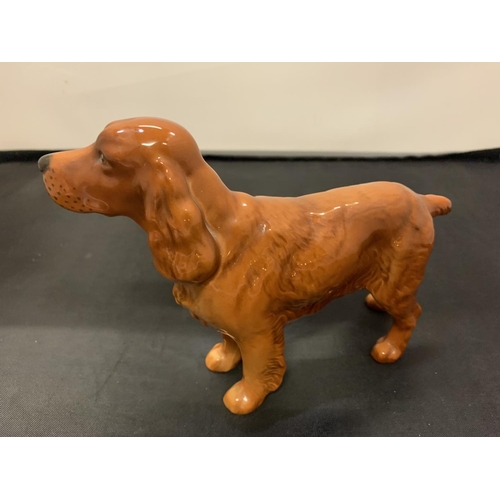 712 - A BESWICK COCKER SPANIEL HORSESHOE PRIMULA