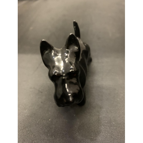 714 - TWO BESWICK SCOTTIE DOGS BLACK GLOSS ONE LARGE AND ONE SMALL