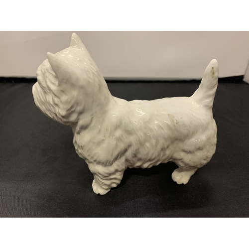 715 - A BESWICK WEST HIGHLAND TERRIER DOG