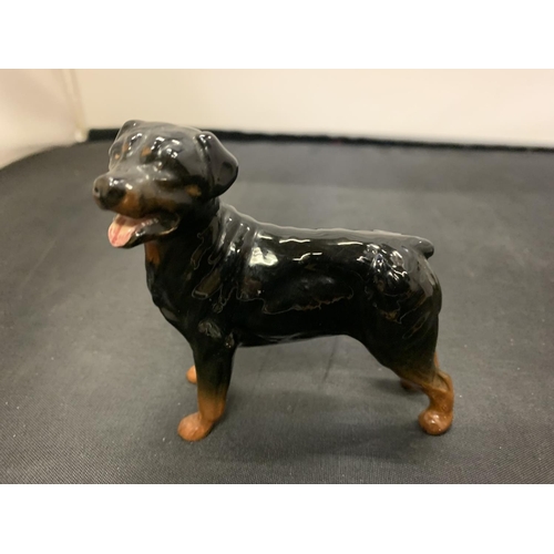 717 - TWO BESWICK DOGS A ROTTWEILER AND A LABRADOR WITH GOLD BACK STAMPS