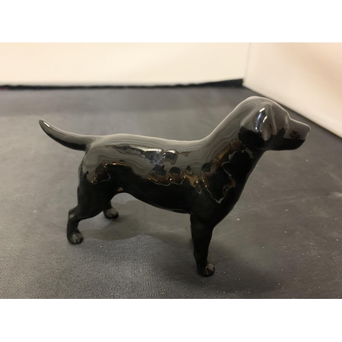 717 - TWO BESWICK DOGS A ROTTWEILER AND A LABRADOR WITH GOLD BACK STAMPS