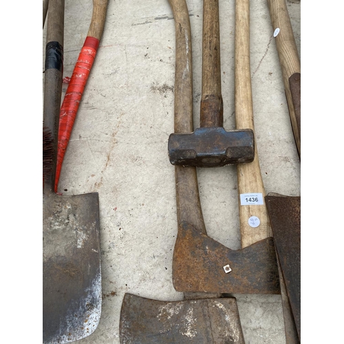 1436 - AN ASSORTMENT OF VINTAGE GARDEN TOOLS TO INCLUDE SHOVELS, FORKS AND AXES ETC