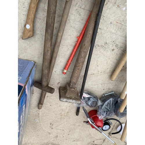 1437 - AN ASSORTMENT OF VINTAGE GARDEN TOOLS TO INCLUDE SPADE, HOE AND CHIMNEY SWEEP BRUSH ETC