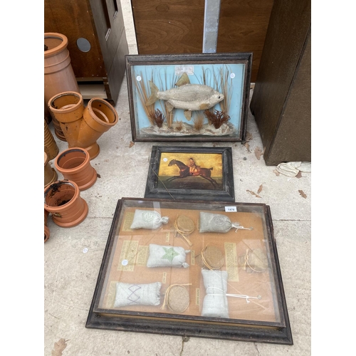 1478 - THREE FRAMED ITEMS TO INCLUDE A ROACH AND KNOT EXAMPLES ETC