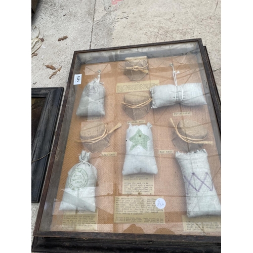 1478 - THREE FRAMED ITEMS TO INCLUDE A ROACH AND KNOT EXAMPLES ETC