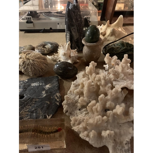 281 - A LARGE COLLECTION OF GEMSTONES, FOSSILS, CORAL, SHELLS ETC