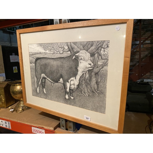 808 - TWO BLACK AND WHITE PICTURES TO INCLUDE A HEREFORD BULL AND BORDER LEICESTER SHEEP