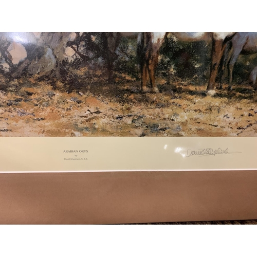 435 - A DAVID SHEPHERD MOUNTED PRINT 'ARABIAN ORYX' LIMITED EDITION 885/1500 WHOLESALE PRICE £95.00