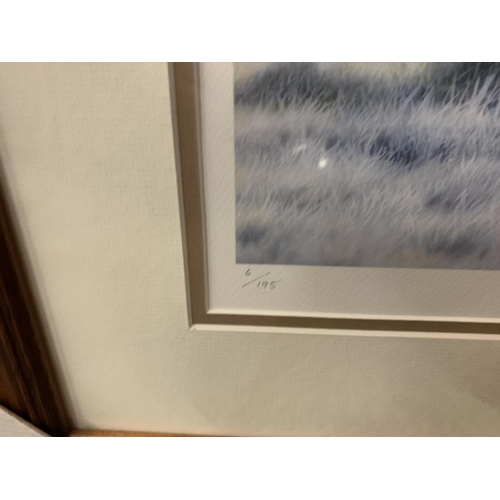 440 - A NIGEL ARTINGSTALL FRAMED PRINT'MEADOW FROST' LIMITED EDITION 6/195 WHOLESALE PRICE £150