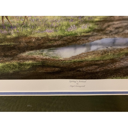 444 - A NIGEL ARTINGSTALL FRAMED PRINT 'SPRING ARRIVAL' LIMITED EDITION 21/195 WHOLESALE PRICE £165