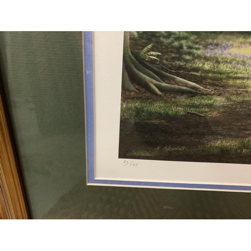 444 - A NIGEL ARTINGSTALL FRAMED PRINT 'SPRING ARRIVAL' LIMITED EDITION 21/195 WHOLESALE PRICE £165