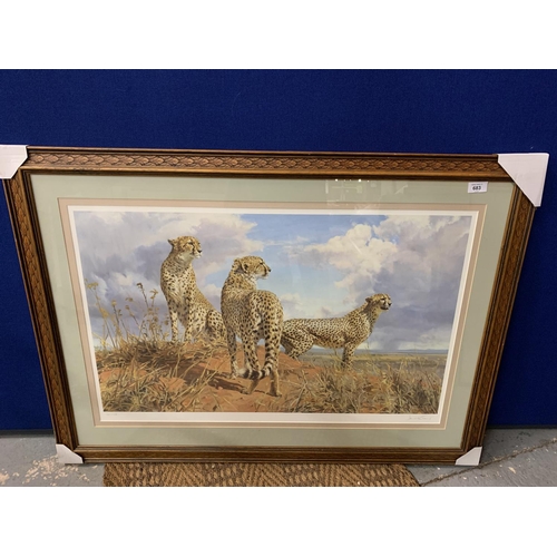 683 - A DONALD GRANT FRAMED PRINT 'CHEETAH TRIO' LIMITED EDITION 227/950 WHOLESALE PRICE £200