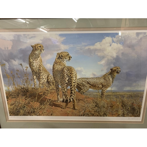 683 - A DONALD GRANT FRAMED PRINT 'CHEETAH TRIO' LIMITED EDITION 227/950 WHOLESALE PRICE £200