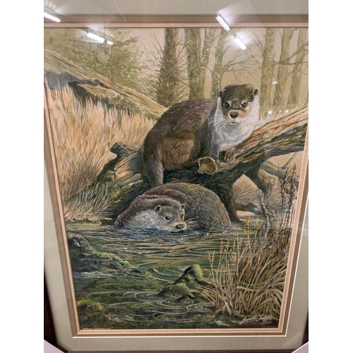 690 - A JOSEPH TICKLE ORIGINAL FRAMED OTTER PAINTING 'EARLY MORNING DIP' WHOLESALE PRICE £200