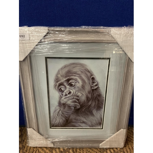 692 - A SUSAN BAXTER FRAMED PRINT 'IMAGINE' URANGATANGS WHOLESALE PRICE £75