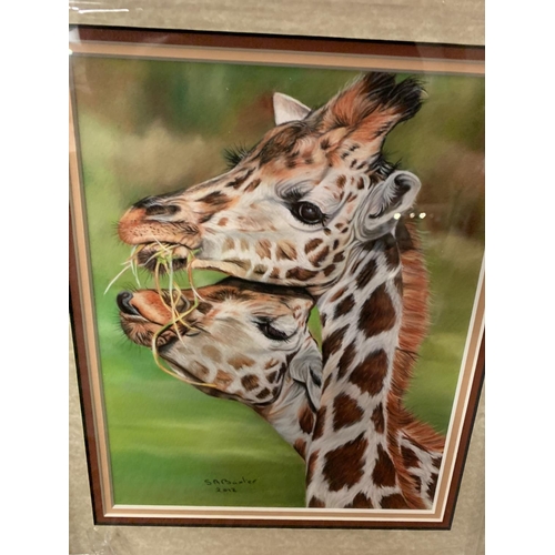 693 - A SUSAN BAXTER FRAMED PRINT 'CAN I HAVE SOME' GIRAFFE WHOLESALE PRICE £95