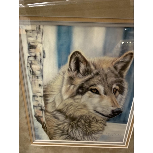 694 - A SUSAN BAXTER FRAMED PRINT 'A SILENT SENTRY' WOLF WHOLESALE PRICE £90